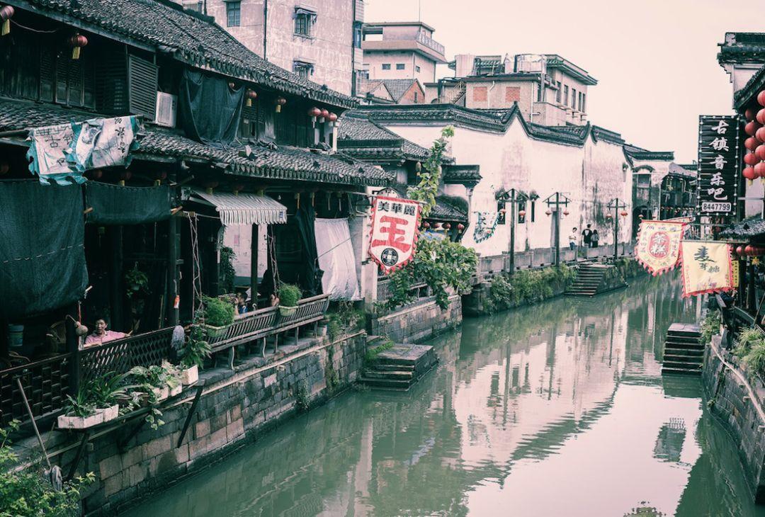 解救可爱的鸭子